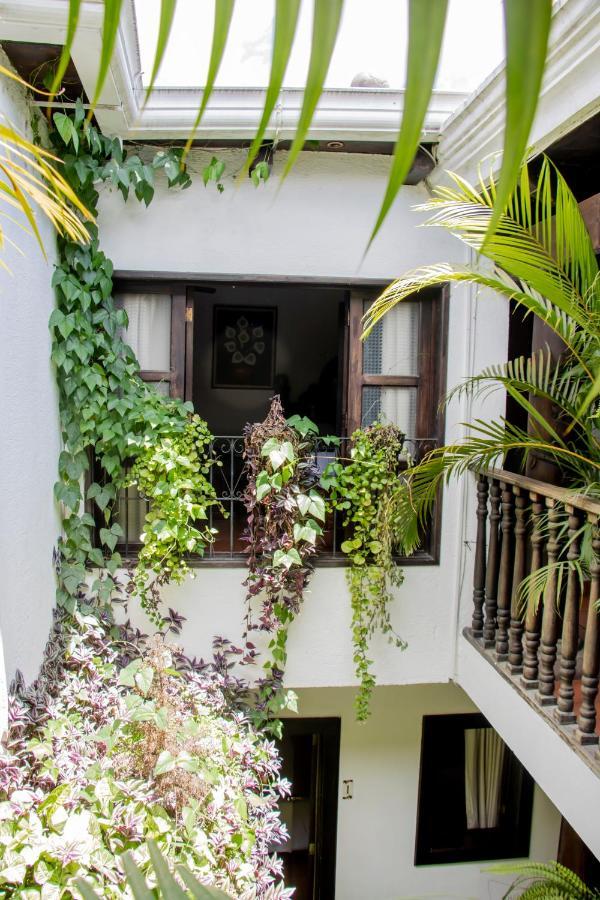 Hotel Villa Real Antigua Ngoại thất bức ảnh