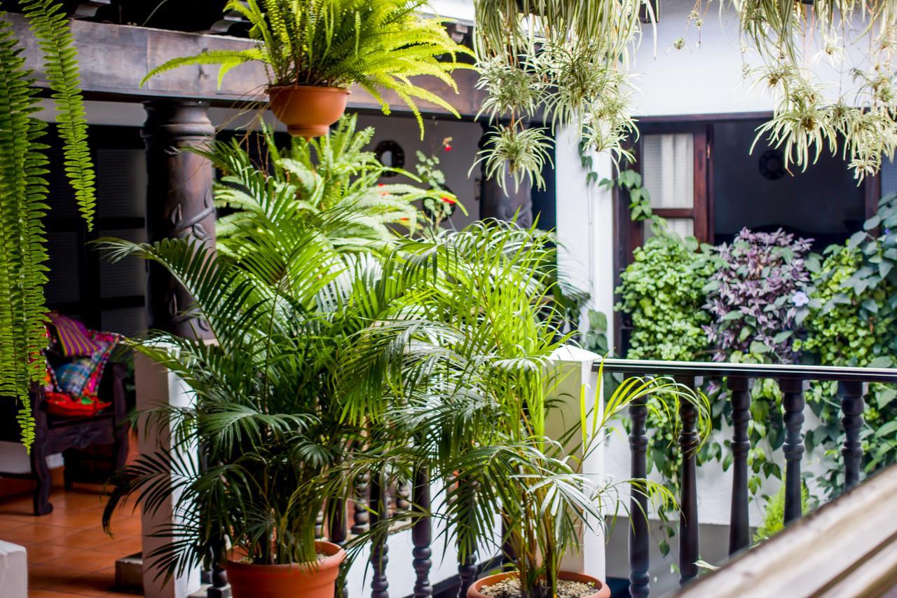 Hotel Villa Real Antigua Ngoại thất bức ảnh
